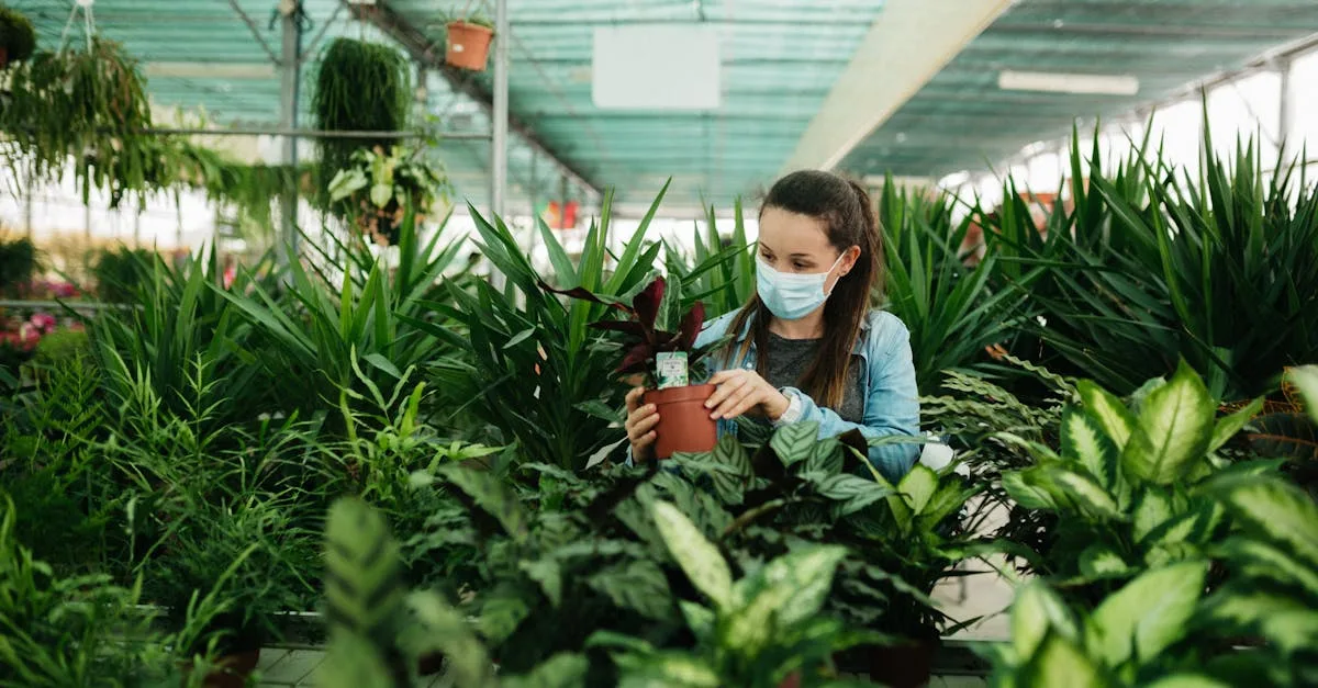 découvrez les plantes d'intérieur purificatrices d'air, idéales pour améliorer la qualité de l'air de votre maison tout en apportant une touche naturelle et décorative.