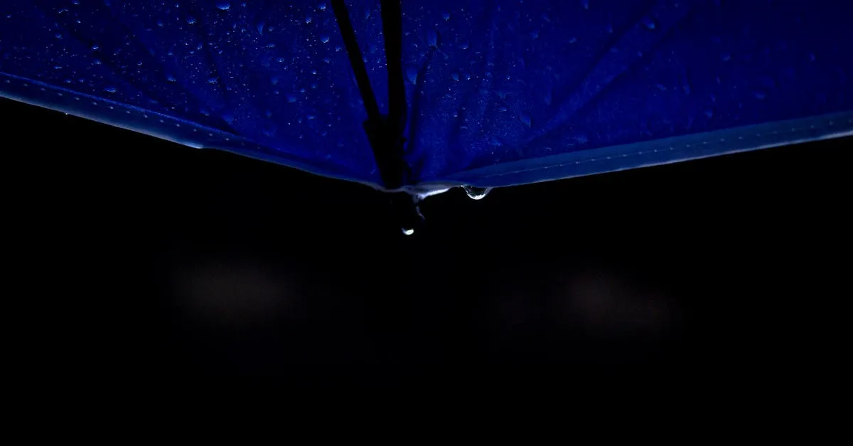 découvrez nos solutions efficaces de protection contre l'humidité pour préserver vos biens et garantir leur durabilité. protège contre l'humidité en toute confiance.