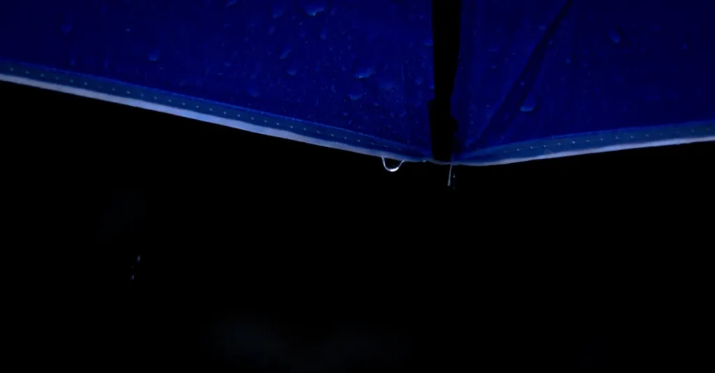 découvrez nos solutions efficaces de protection contre l'humidité pour préserver vos matériaux et assurer leur durabilité.