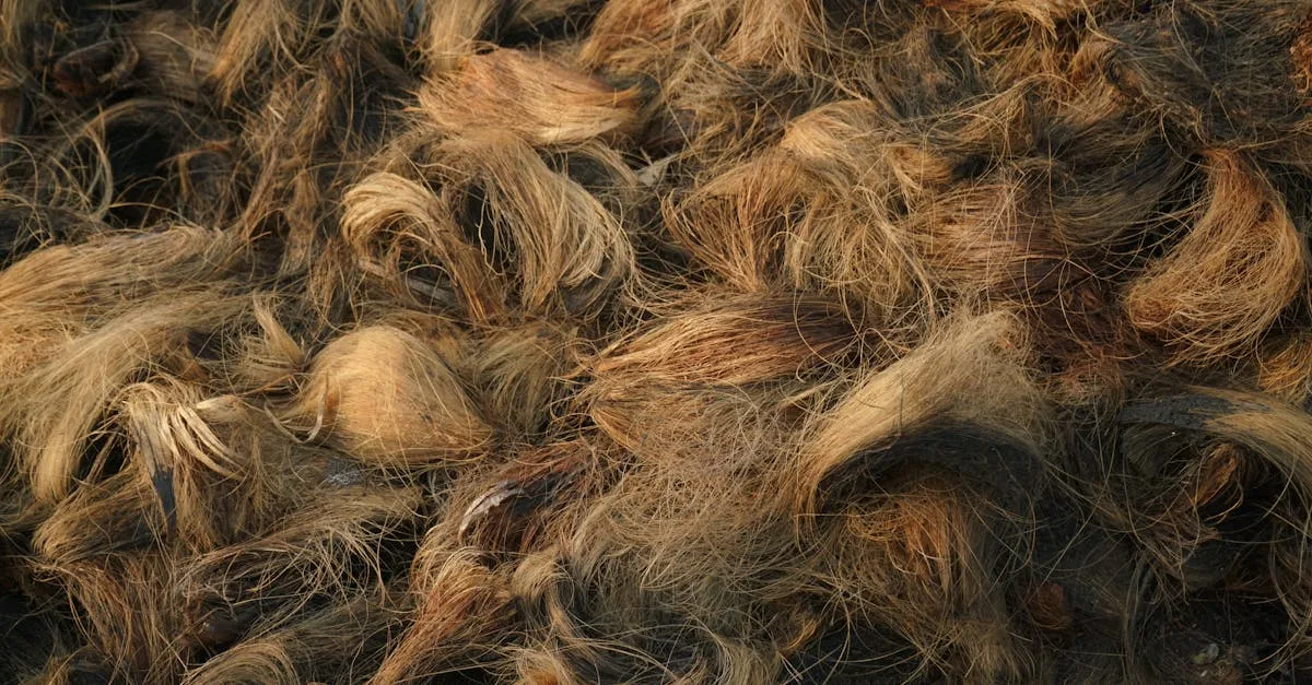 découvrez notre sélection de matériaux naturels, alliant qualité, durabilité et respect de l'environnement pour vos projets.