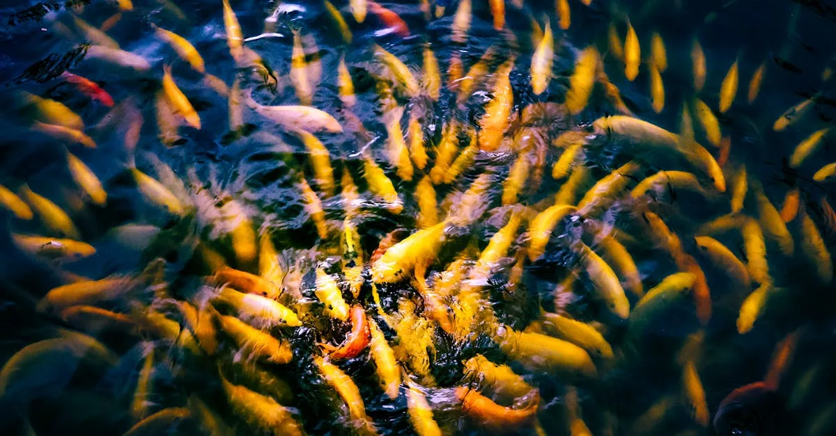 optimisez votre système d'aquaponie pour une production durable et efficace grâce à nos conseils et techniques avancées.