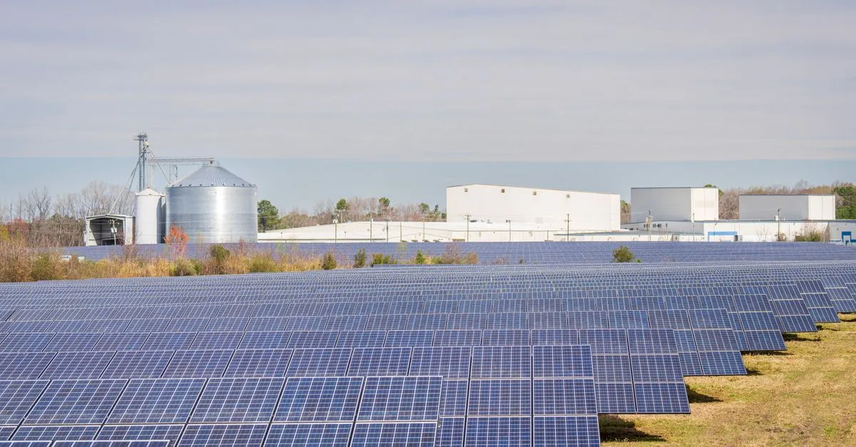 découvrez nos panneaux solaires haute performance pour une énergie propre et renouvelable. profitez d'une installation facile et d'économies durables sur votre facture d'électricité.