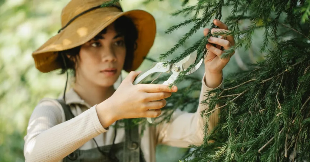 découvrez les meilleures techniques de taille pour vos arbres et arbustes afin de favoriser une croissance saine et un jardin harmonieux.